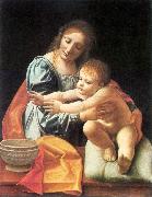 BOLTRAFFIO, Giovanni Antonio The Virgin and Child fgh oil on canvas